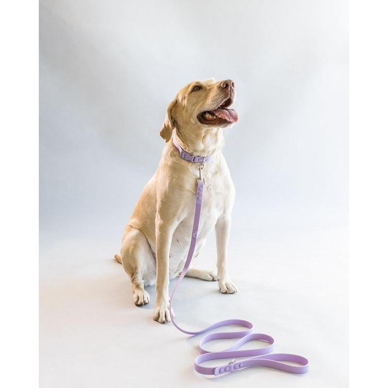 Weatherproof Dog Collar
