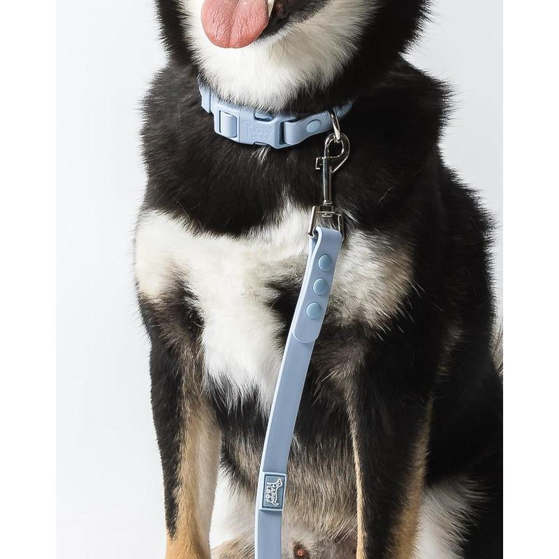 Weatherproof Dog Collar
