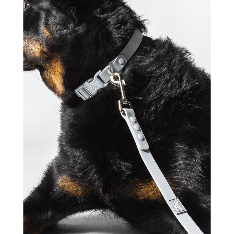 Weatherproof Dog Collar