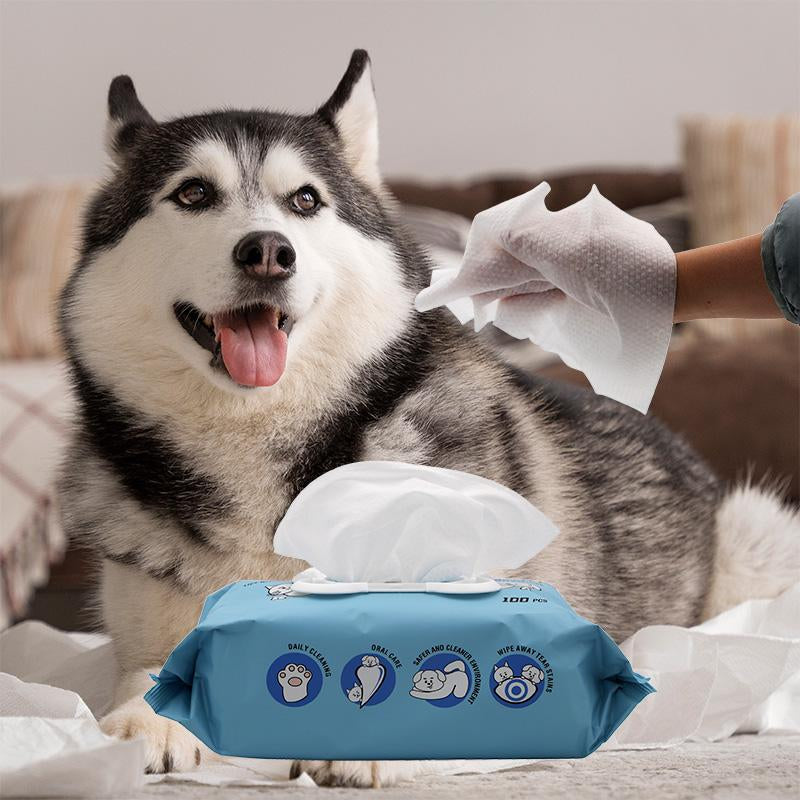 Aimi Pet Wipes for Dogs & Cats Daily Cleaning, Hypoallergenic Pet Wipes, No-Rinse Grooming Pet Wipes, Unscented, 100 PCS