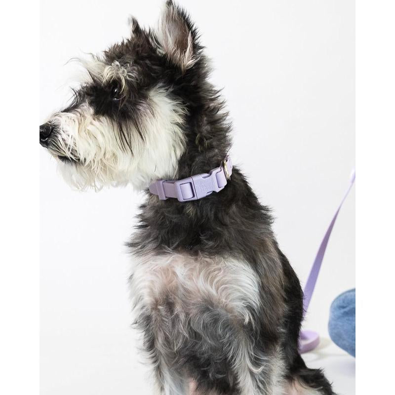 Weatherproof Dog Collar