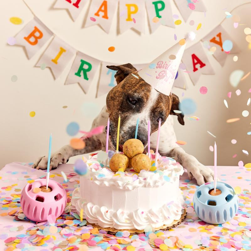 Birthday Pops - Long Lasting Dog Treats for the Pupsicle Toy