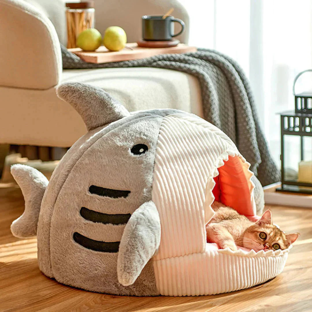 Cute shark bed for cats
