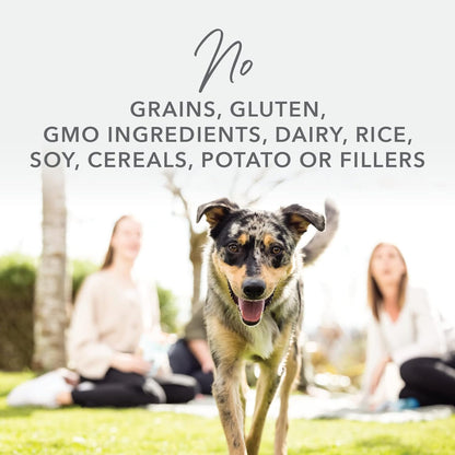 Grain Free Freeze Dried Dog Food Topper - Lamb & Salmon, 3.5Oz