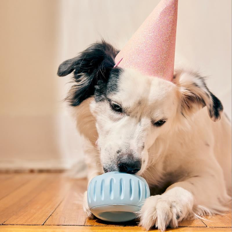 Birthday Pops - Long Lasting Dog Treats for the Pupsicle Toy