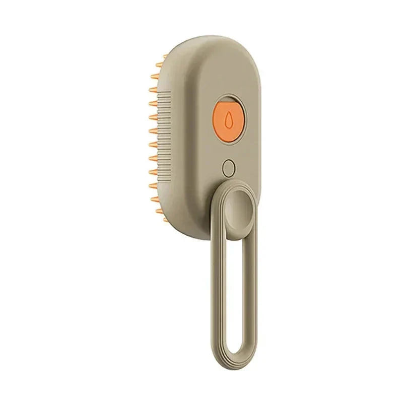 Electric cat steam brush with water spra