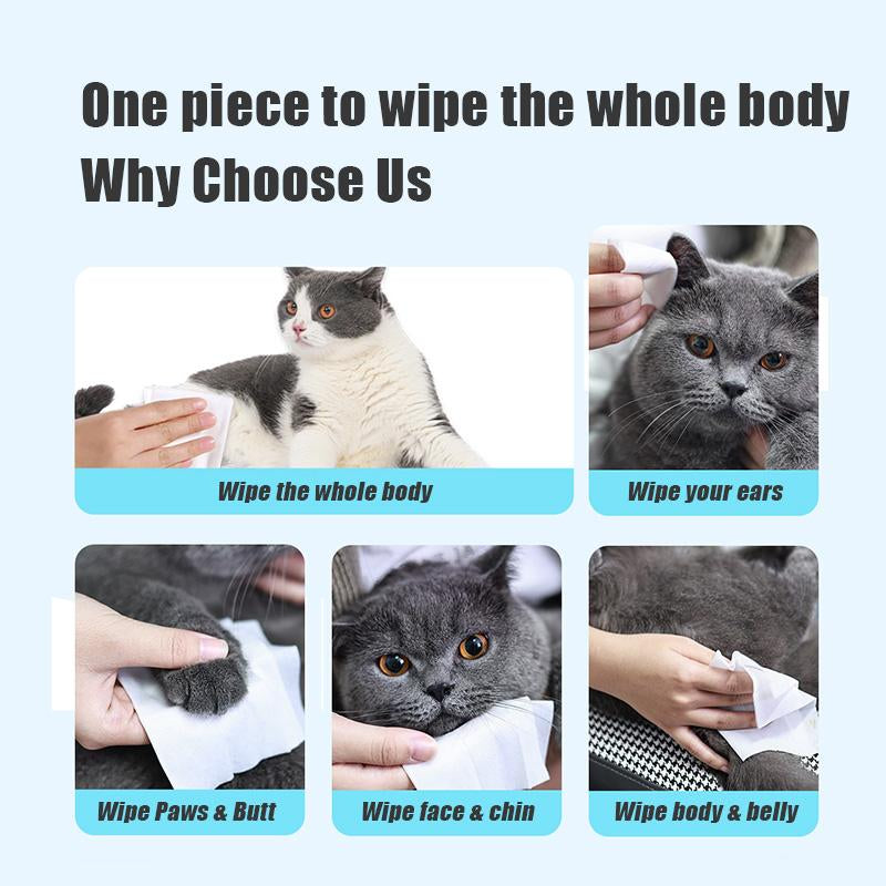 Aimi Pet Wipes for Dogs & Cats Daily Cleaning, Hypoallergenic Pet Wipes, No-Rinse Grooming Pet Wipes, Unscented, 100 PCS