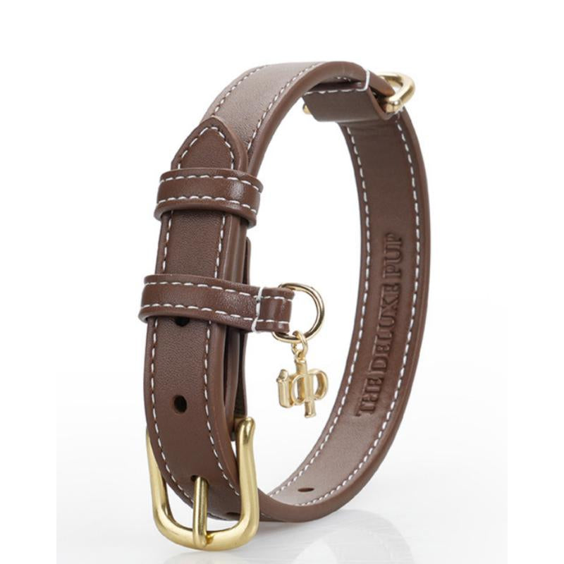 TDP Premium Dog Collar - Vegan Leather, Brass Fittings, and Keepsake Box