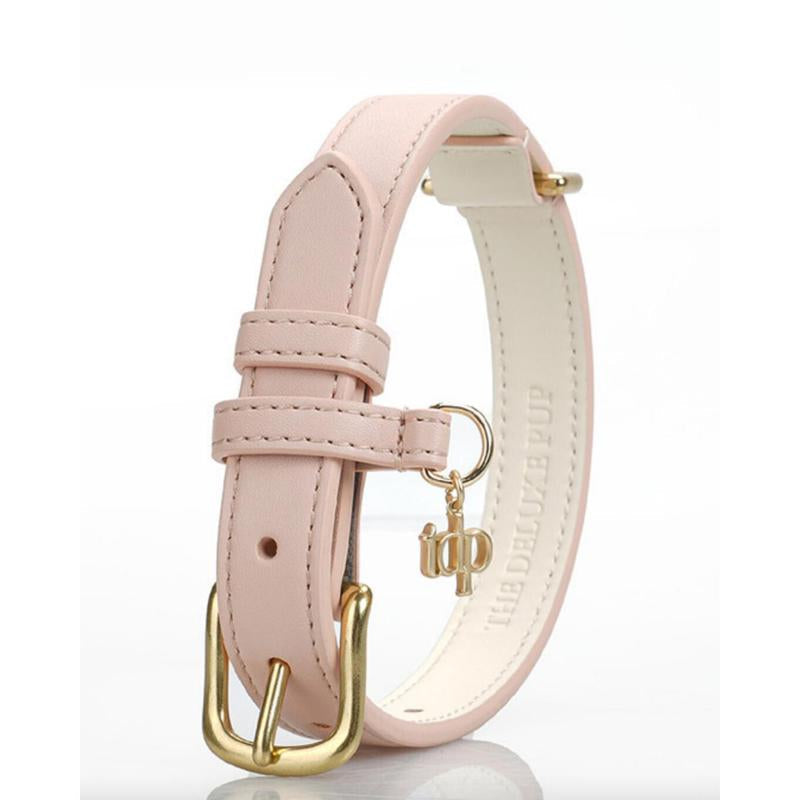 TDP Premium Dog Collar - Vegan Leather, Brass Fittings, and Keepsake Box