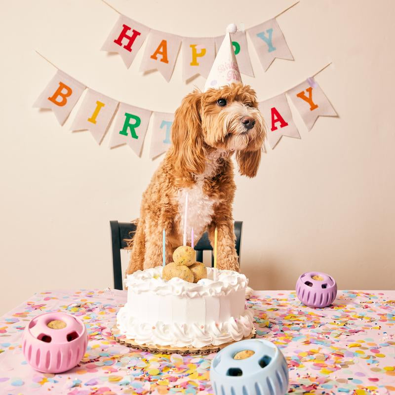 Birthday Pops - Long Lasting Dog Treats for the Pupsicle Toy