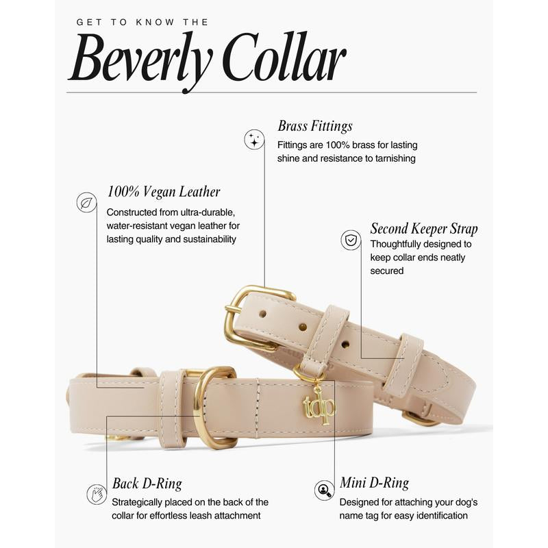 TDP Premium Dog Collar - Vegan Leather, Brass Fittings, and Keepsake Box